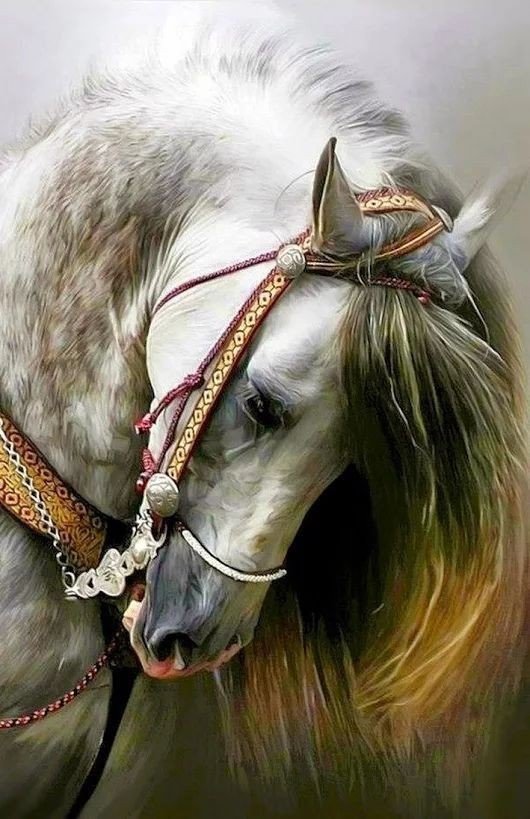 Конь - животные - оригинал