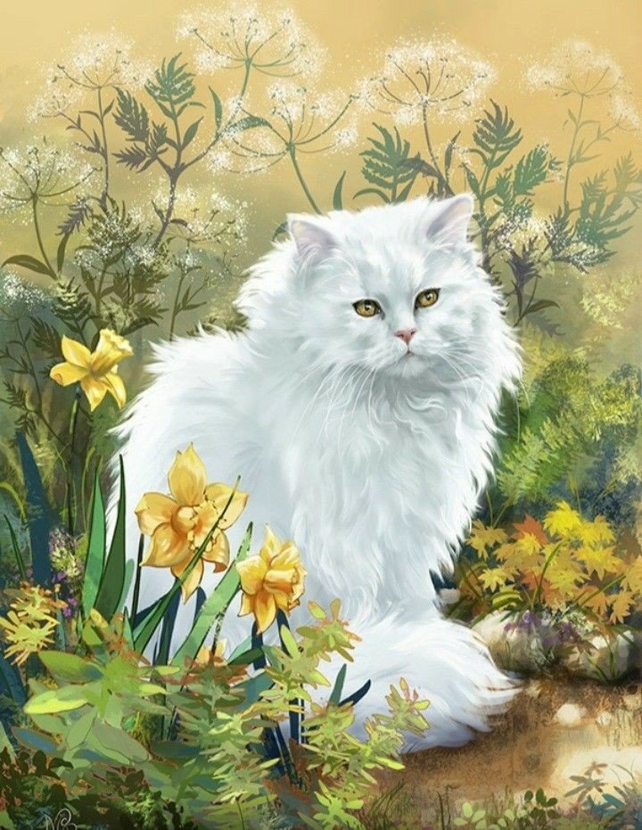 Белочка - кот 🐱 - оригинал