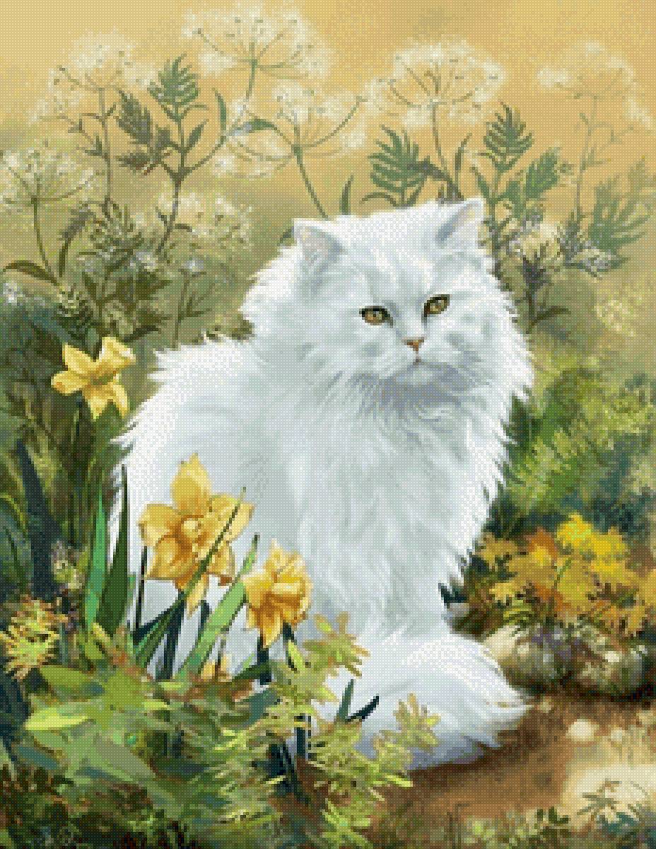 Белочка - кот 🐱 - предпросмотр