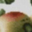 Предпросмотр схемы вышивки «Яблоки» (№2603314)