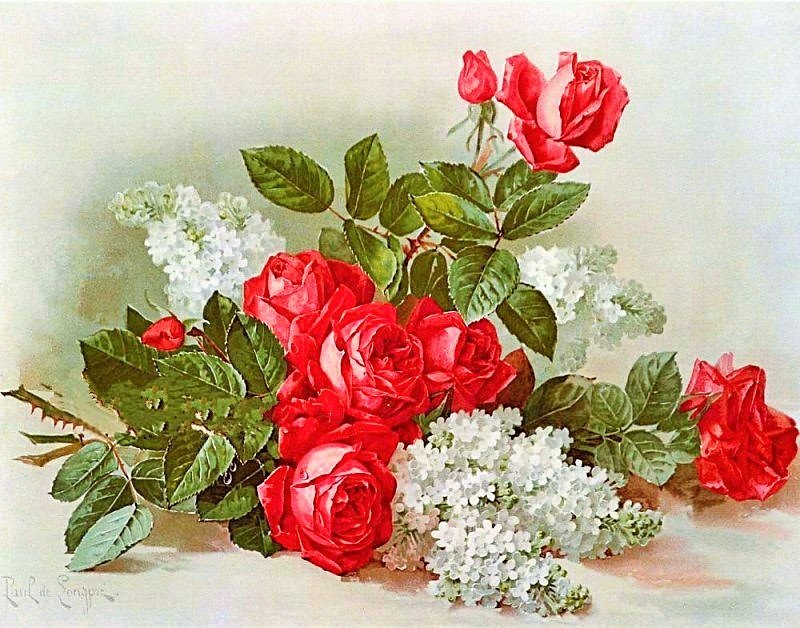 Поль де Лонгпре - розы, поль де лонгпре, цветы - оригинал