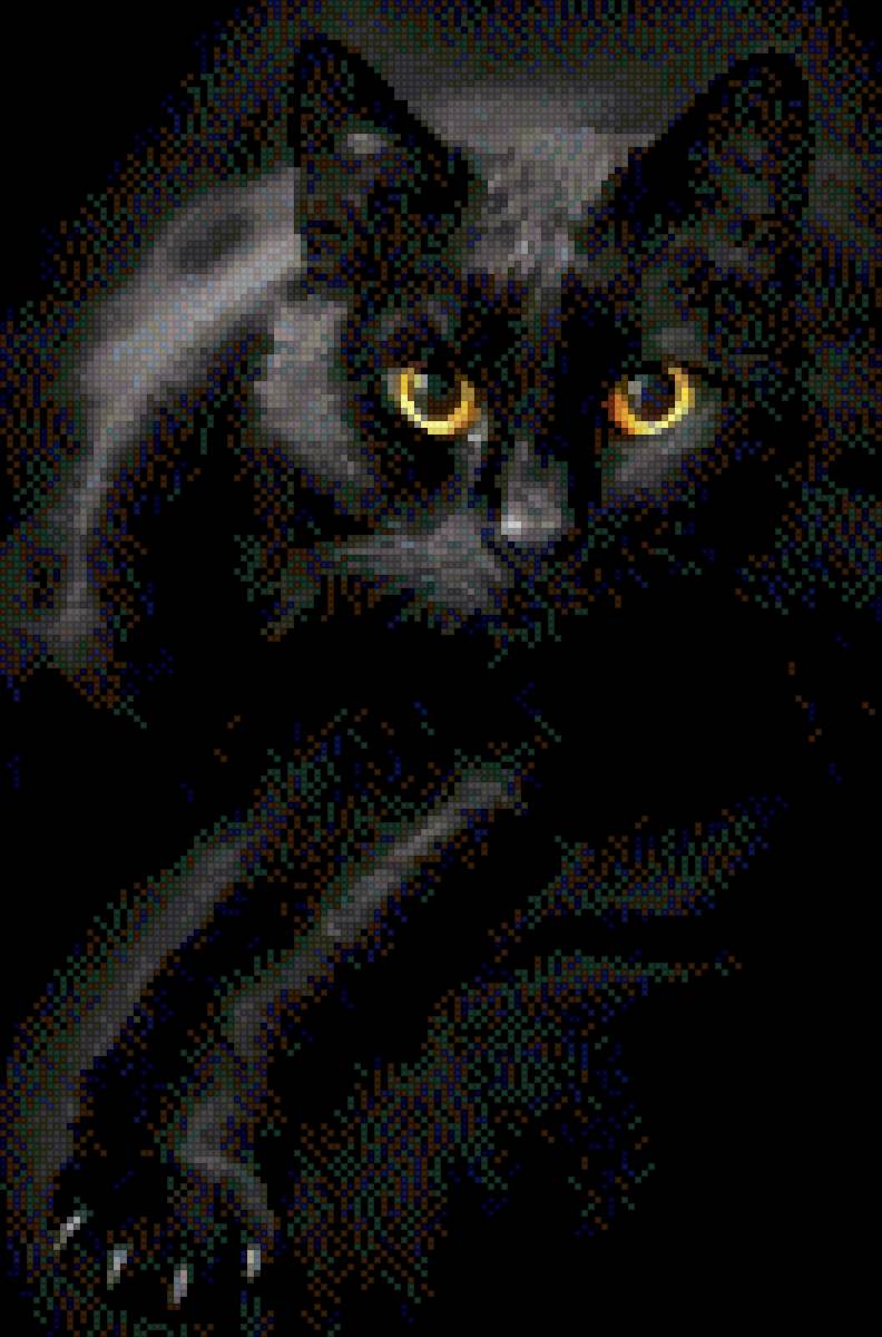 Черная красавица - кошка, магия, кот - предпросмотр