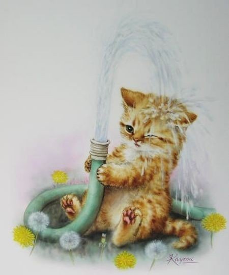 Летний дождик - кот 🐱 - оригинал