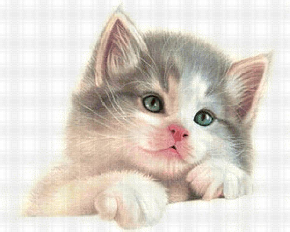 ,, солнышко,, - кот 🐱 - предпросмотр