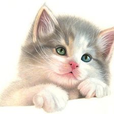 Схема вышивки «,, солнышко,,»