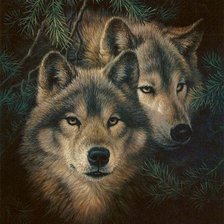 Пара влюбленных волков