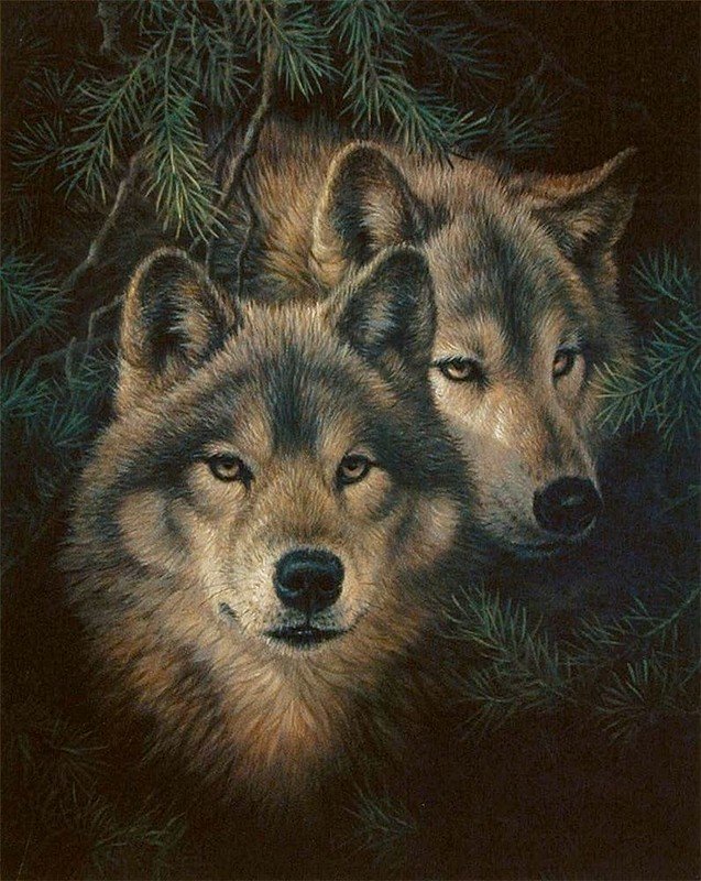 Волки) - волки - оригинал