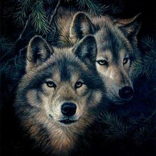 волчья пара