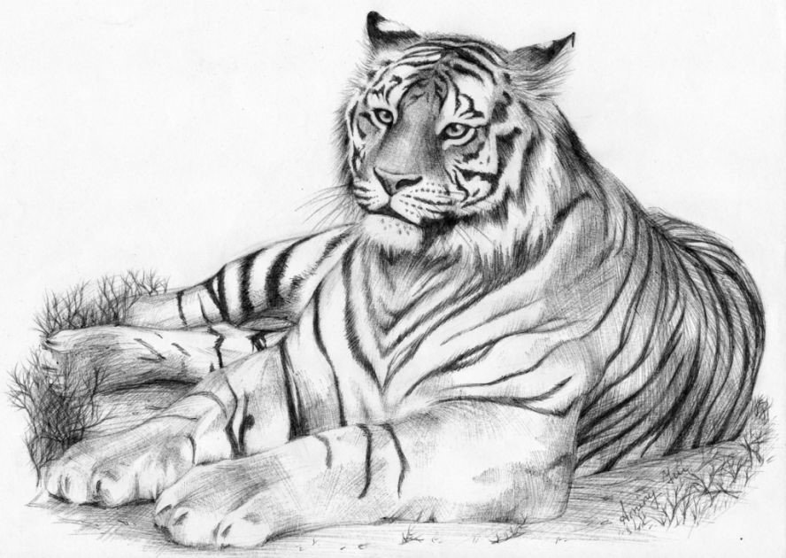 №2604918 - оригинал