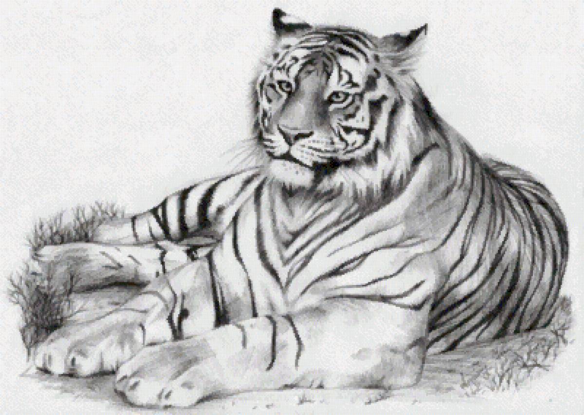 №2604918 - предпросмотр