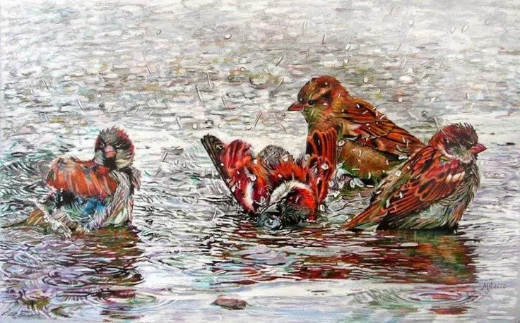 Дождь - птицы, лужа - оригинал