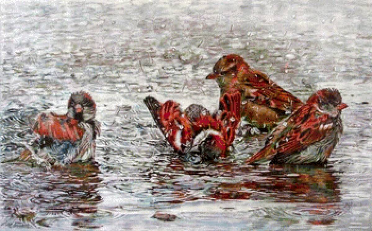 Дождь - птицы, лужа - предпросмотр