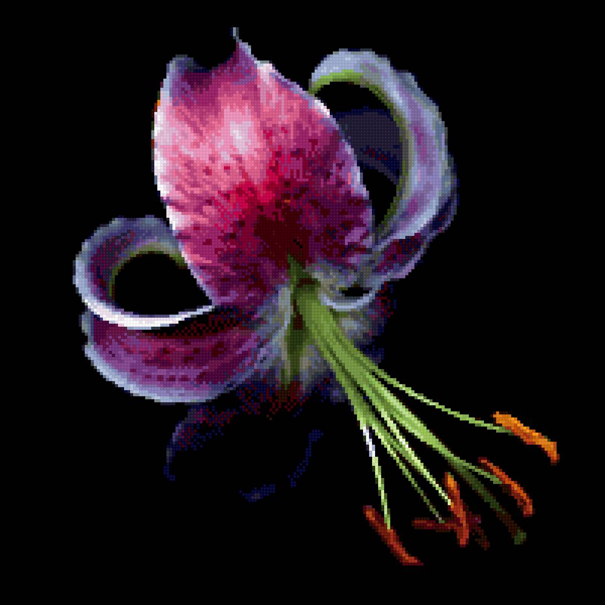 Лилия - черный, лилия - предпросмотр