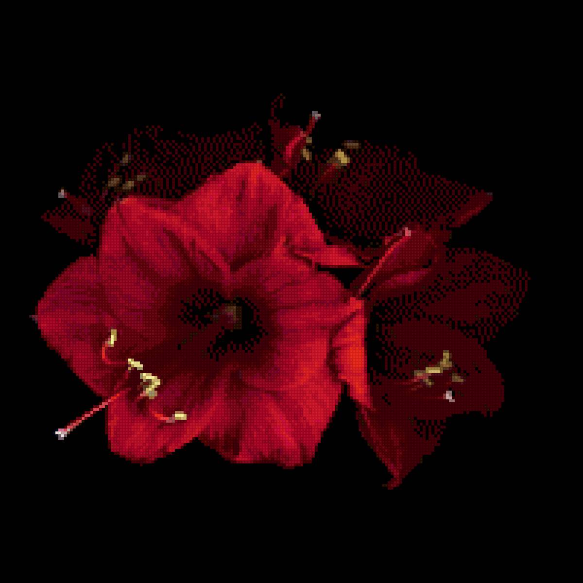 Цветы - красное, черное, цветы - предпросмотр