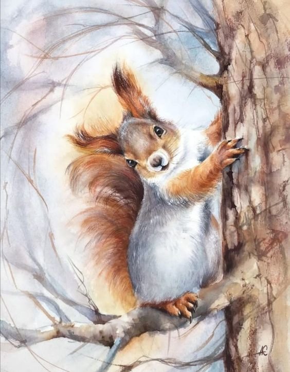 Белочка - дикие животные, белка - оригинал