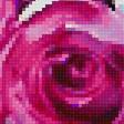 Предпросмотр схемы вышивки «Натюрморт с розами» (№2605818)