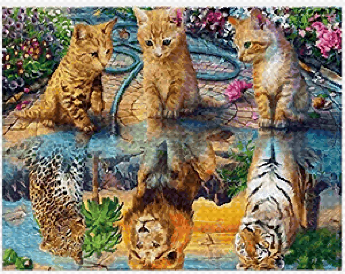 отражение - предпросмотр