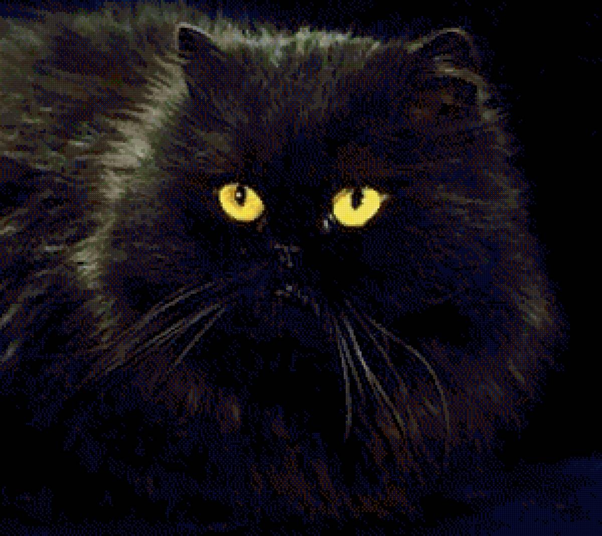 Котёнок Черныш 2 - котенок - предпросмотр