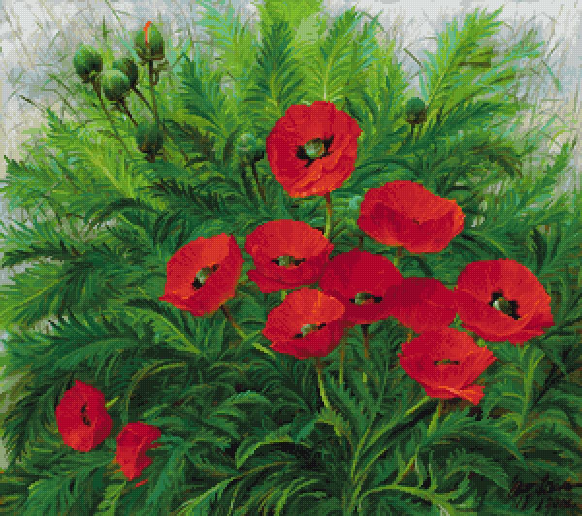 Юрий Арсенюк - цветы, маки, юрий арсенюк - предпросмотр