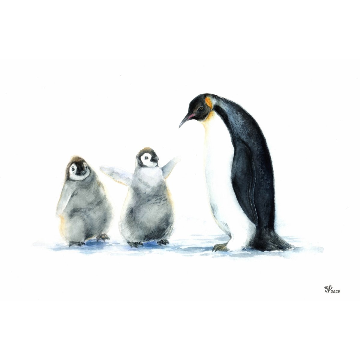 Пингвины - акварель, пингвины, птицы - оригинал
