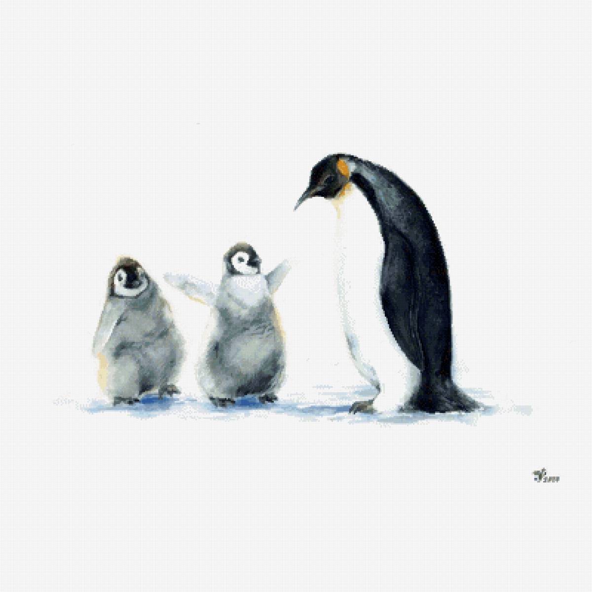 Пингвины - птицы, акварель, пингвины - предпросмотр