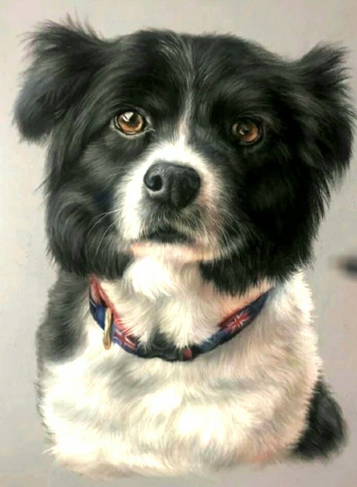 Верный друг - собака, грусть - оригинал