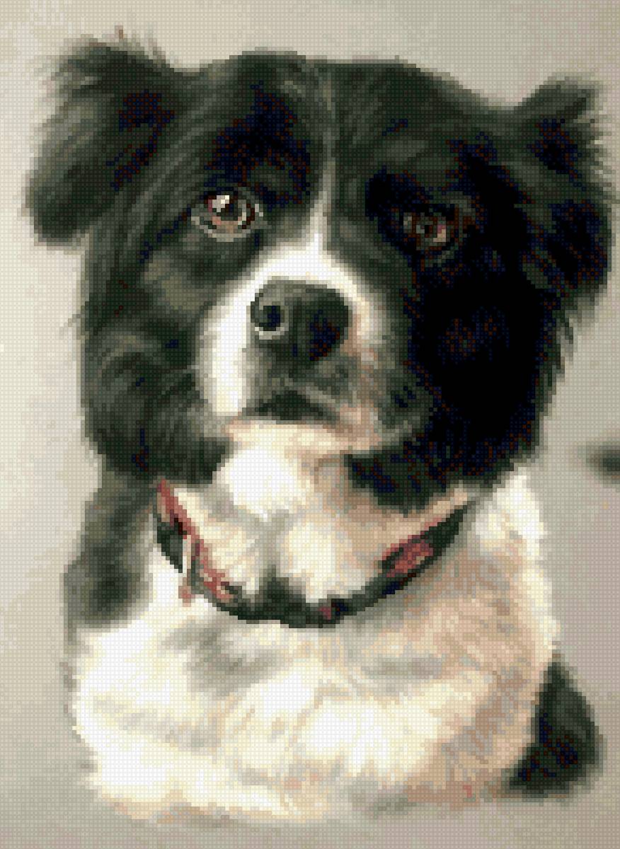 Верный друг - грусть, собака - предпросмотр