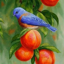 Схема вышивки «синяя птица и персики»