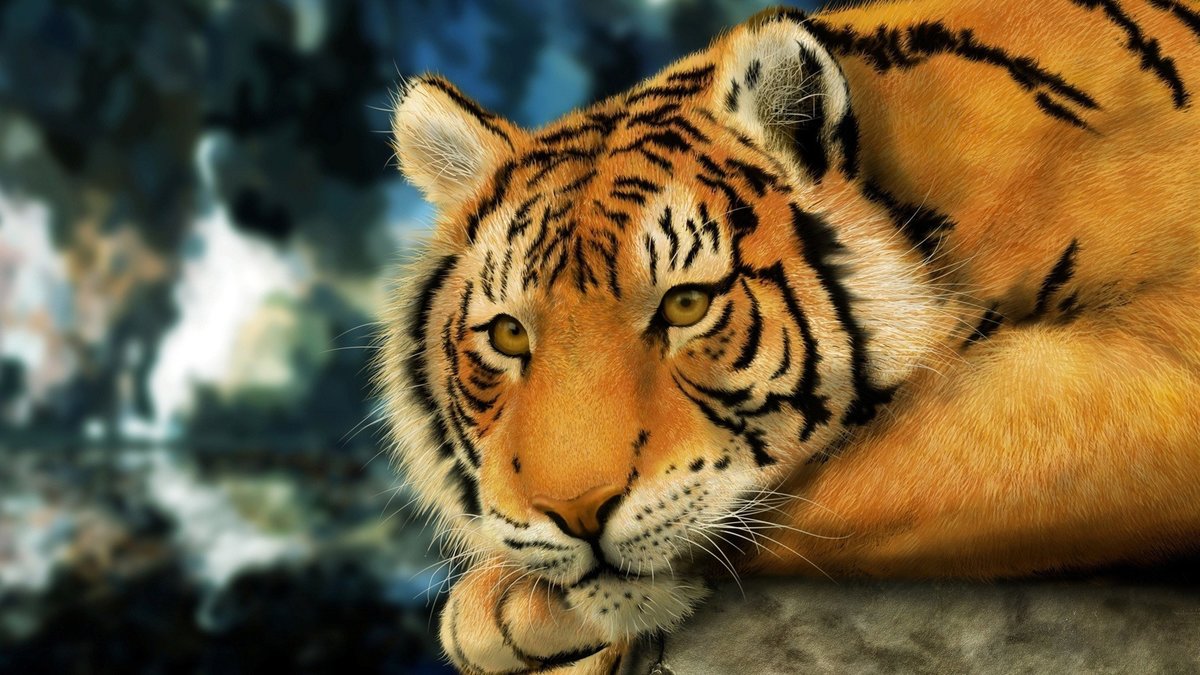 Тигр ррр - животные - оригинал