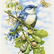 Схема вышивки «птица»