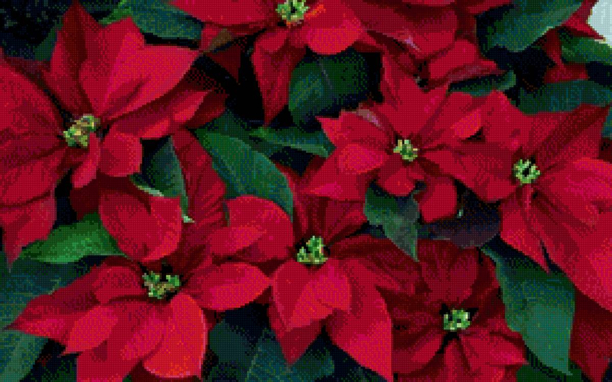 №2607809 - предпросмотр