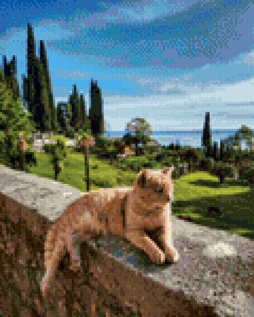 котик Абхазия - предпросмотр