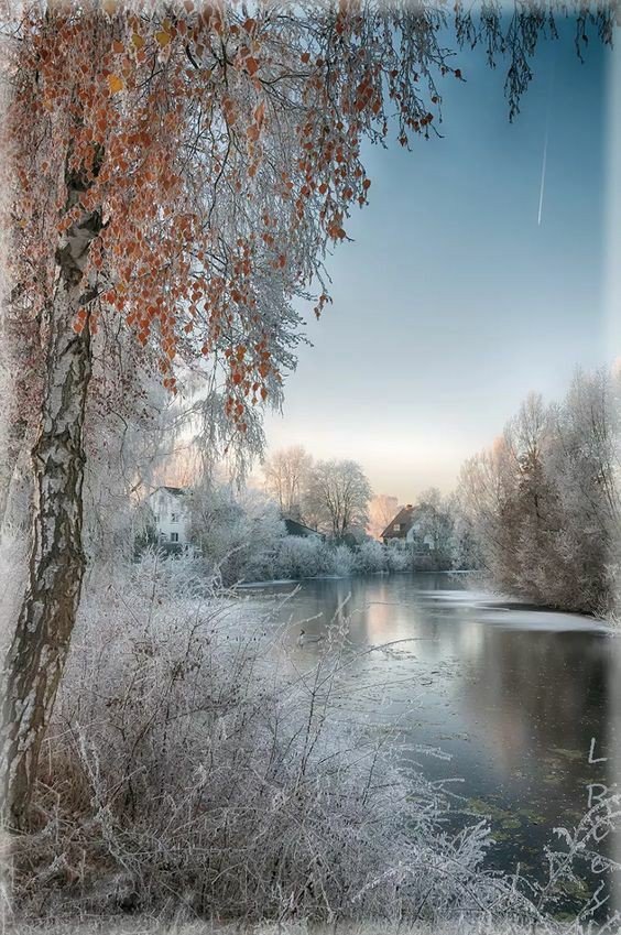 Зима - снег, река, береза - оригинал