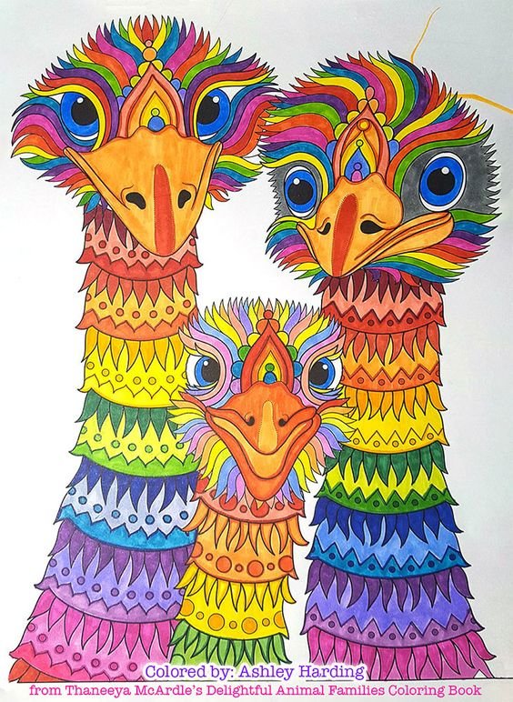 страусы - рисунок - оригинал