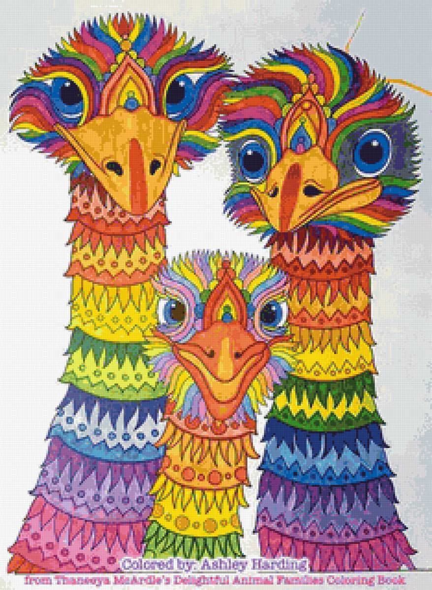 страусы - рисунок - предпросмотр