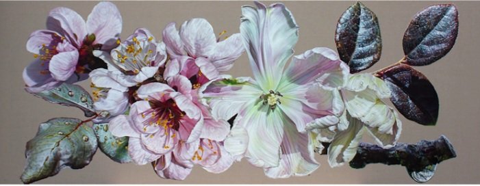 Anne Middleton - цветы - оригинал