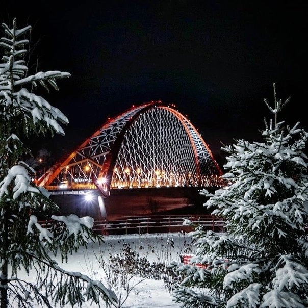 Бугринский мост - природа - оригинал