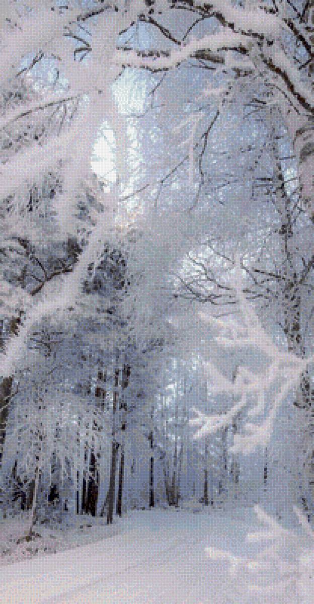 Мороз. Иней на березах - зима, иней - предпросмотр