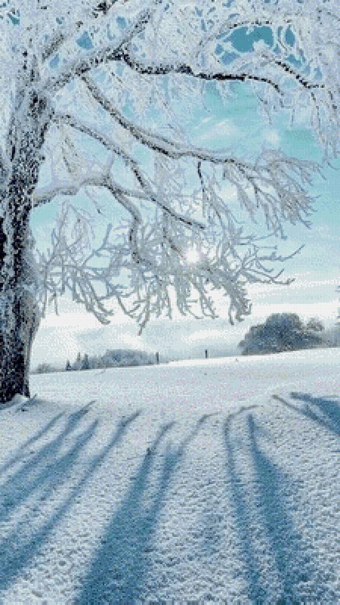 Звонкий иней - зима, иней - предпросмотр