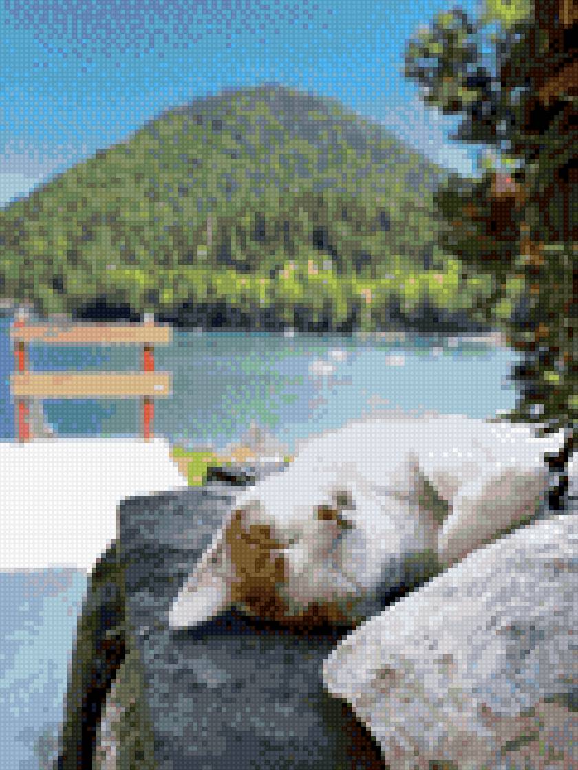 котик - предпросмотр