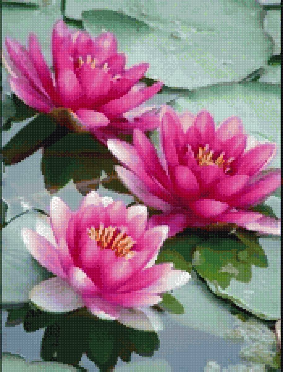 Лотосы - лотосы, до 240 крестиков - предпросмотр