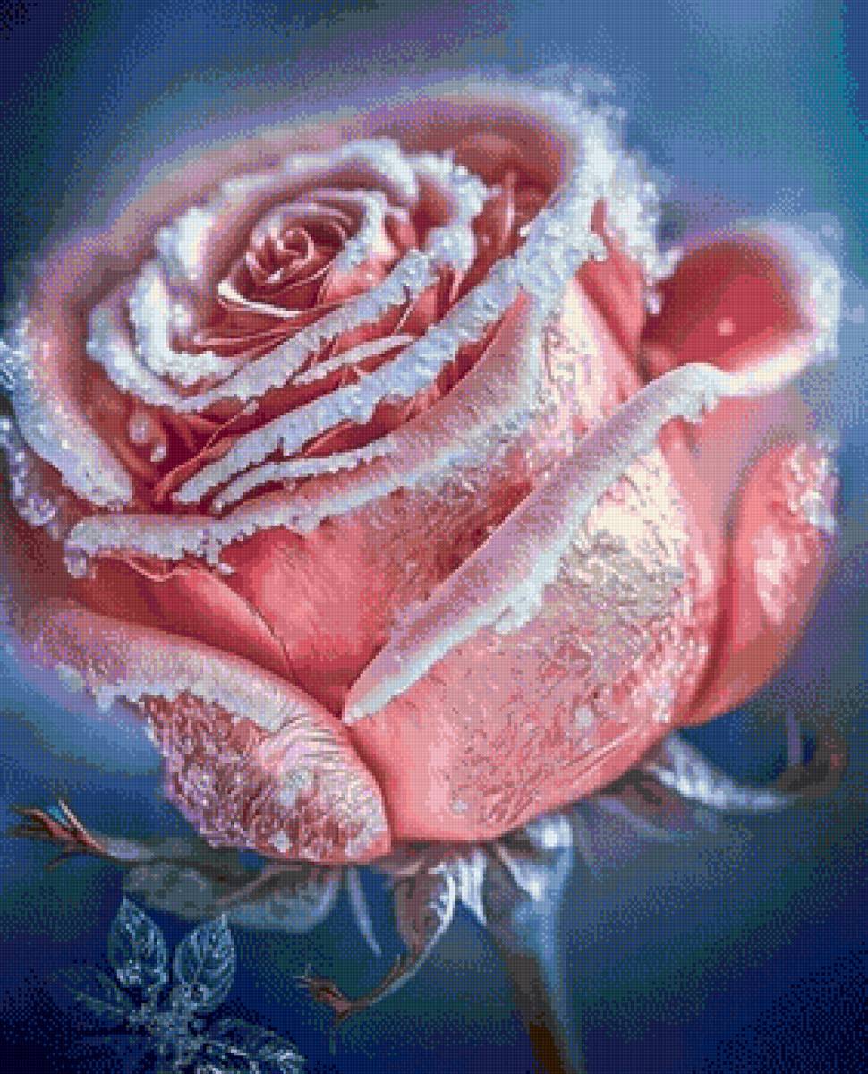 ROSA - предпросмотр