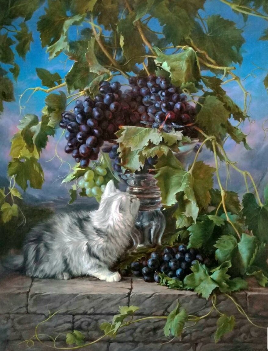Виноград - виноград, кот, ягоды, небо, листья - оригинал