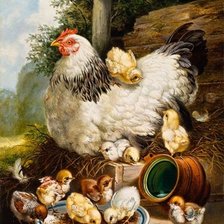 Схема вышивки «Вернер Уиллис. Курица с цыплятами.»