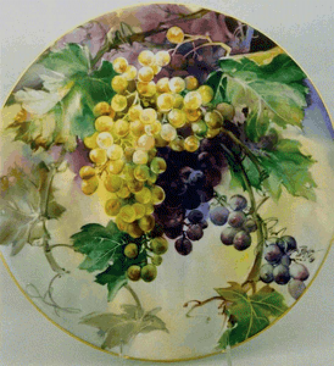 Виноград - виноград - предпросмотр