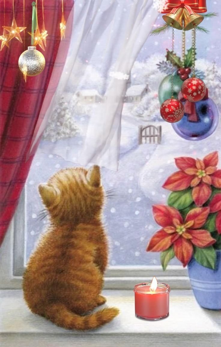 котенок - зима, окно, новый год, котенок - оригинал