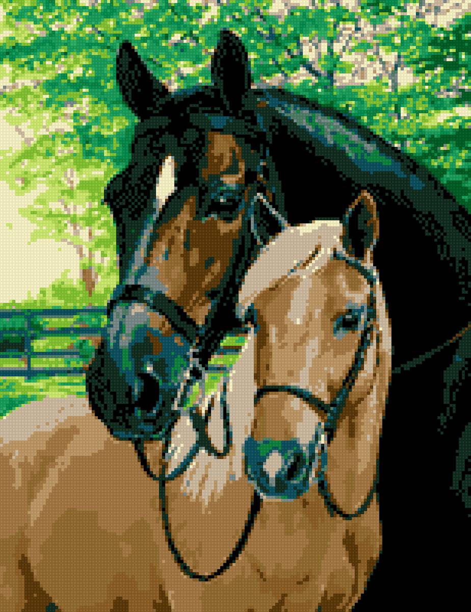 Лошади - пара, лошади - предпросмотр