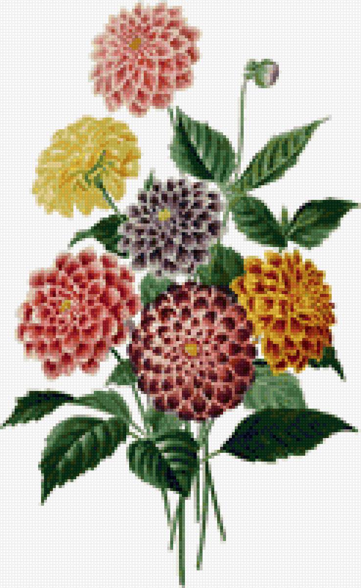 Цветы - предпросмотр