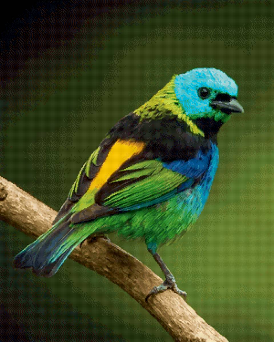 Птица - ветка, птица - предпросмотр