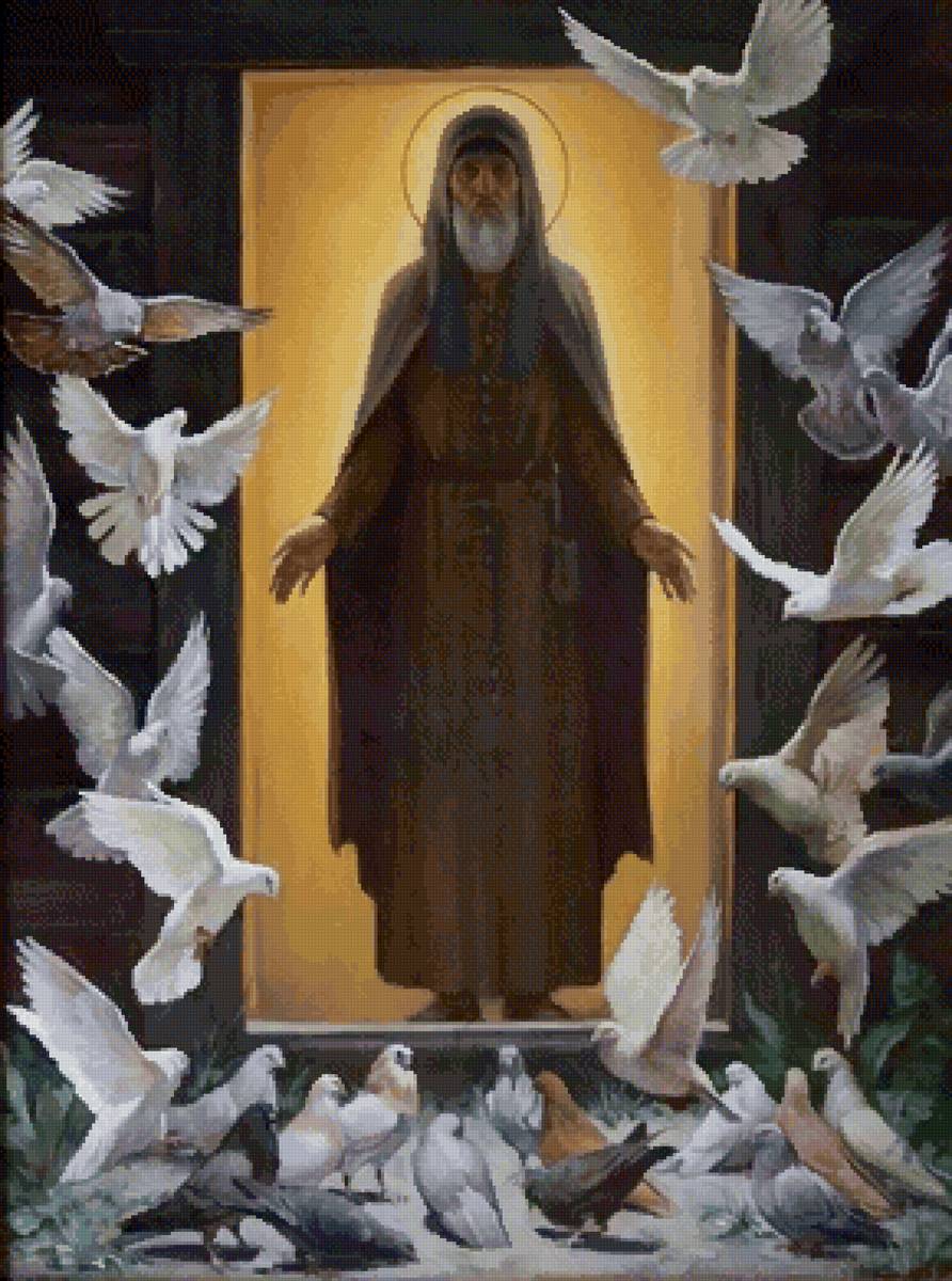 Религия - голуби, птицы, религия, старец - предпросмотр